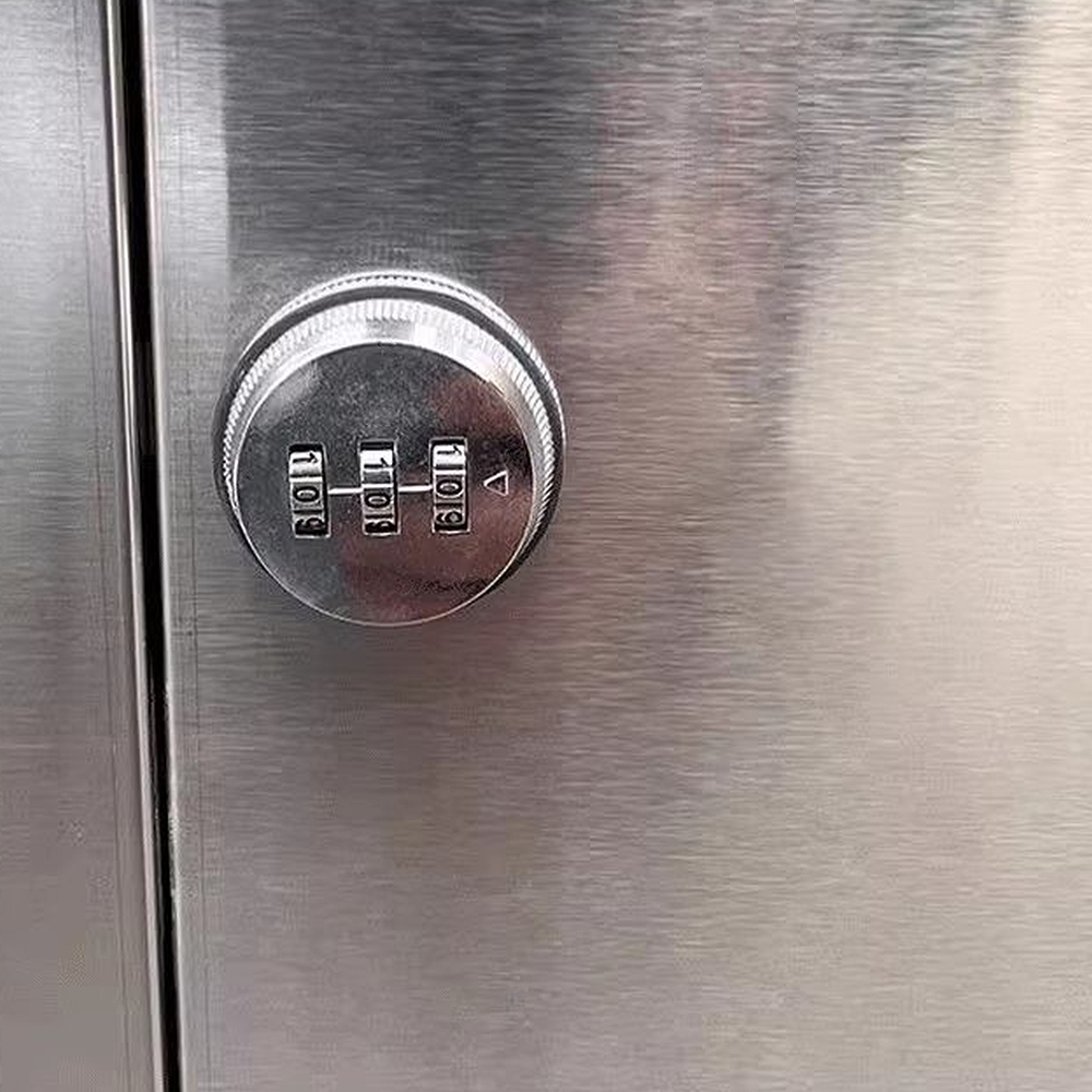 FOREST HILL Protected Package Delivery Stainless Steel Box